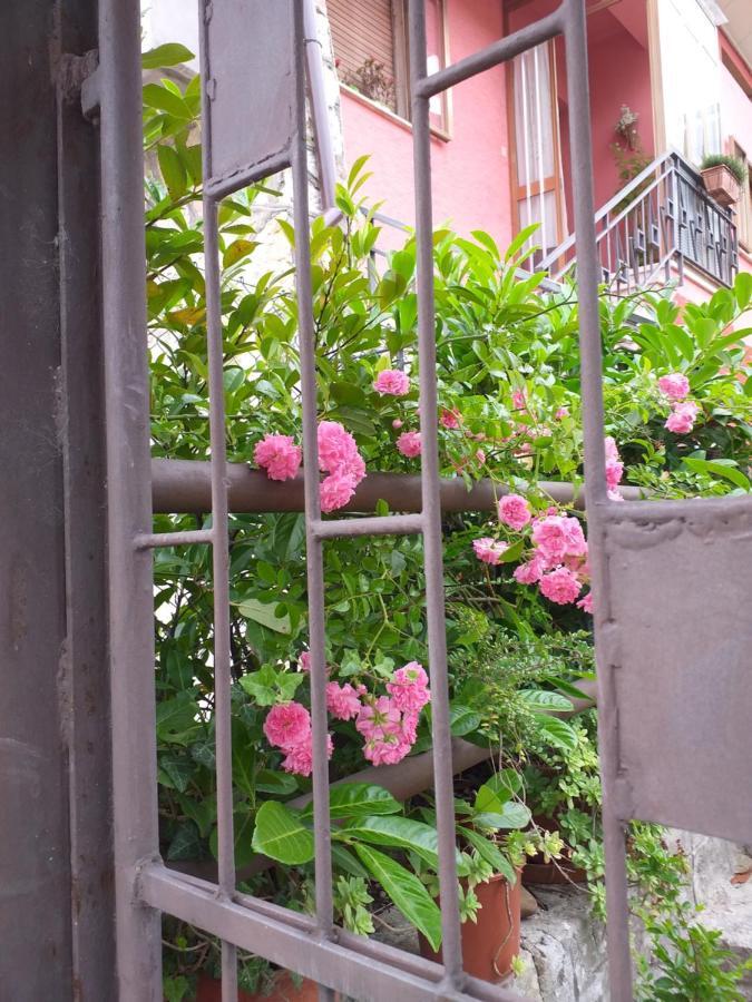 Bed & Breakfast La Rosa Rossa Cagli Dış mekan fotoğraf